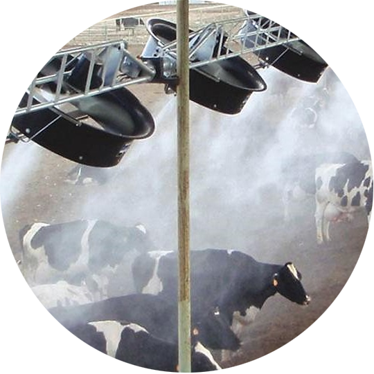 Misting nozzle for agricultural use | Centre Point Hydraulic in Dubai